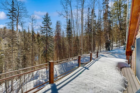 Fox Farm 880 - Ski Ranch Chalet House in Mountain Village