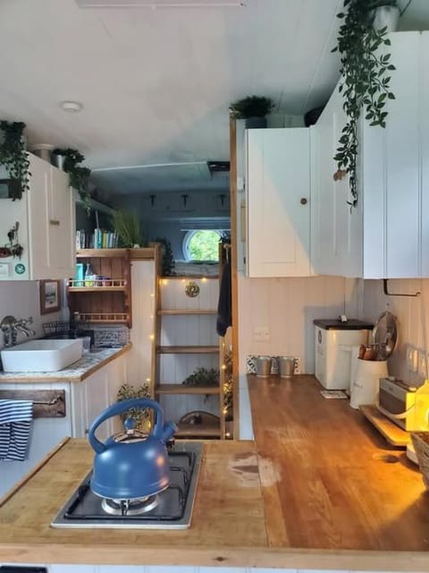 Monroe Horsebox Glamping Campground/ 
RV Resort in Porthleven