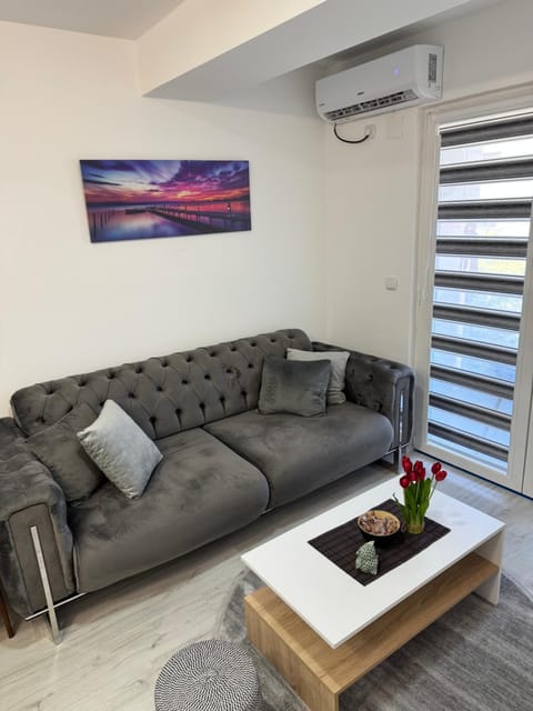 Living room, Seating area, air conditioner