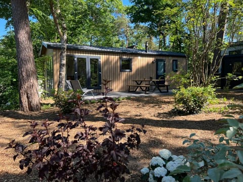 Property building, Summer