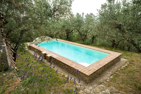 Property building, Day, Natural landscape, Garden, Garden view, Pool view, Swimming pool