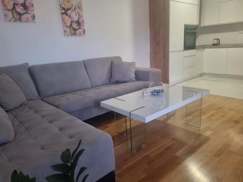 Apartman Milica Apartment in Federation of Bosnia and Herzegovina