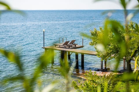 Lake view