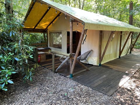 Property building, Natural landscape