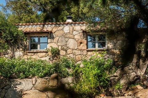 Property building, Facade/entrance, Garden
