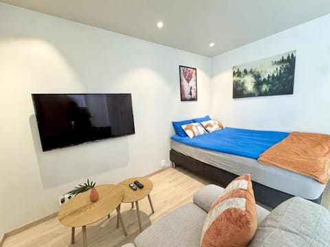 Bed, TV and multimedia, Photo of the whole room