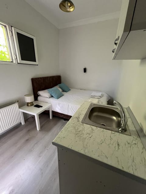 Bed, TV and multimedia, Kitchen or kitchenette, Photo of the whole room, Bedroom