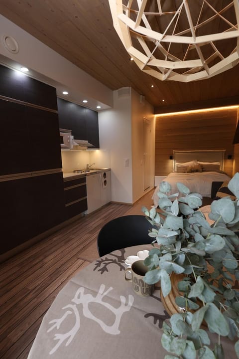 Beautiful studio by the slopes Apartment in Lapland