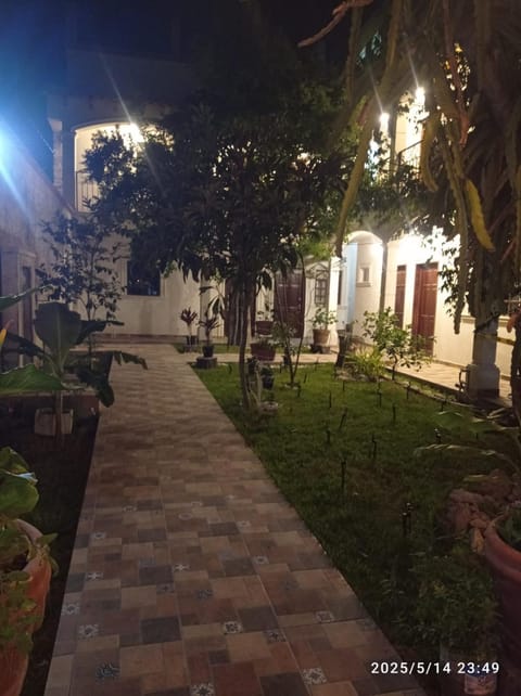 Night, Garden, Garden view