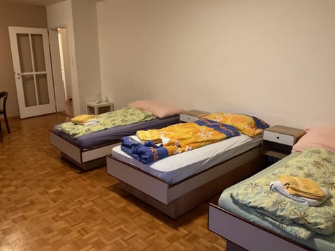 Ferienwohnung Zürich Apartment in Zurich City