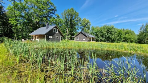 Viensėdis House in Vilnius County, Lithuania