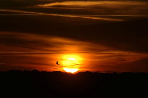 Sunrise