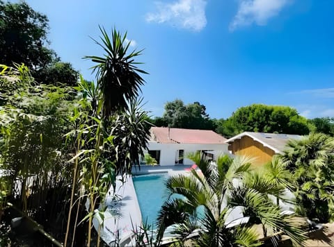 Garden, Balcony/Terrace, Garden view, Swimming pool, sunbed