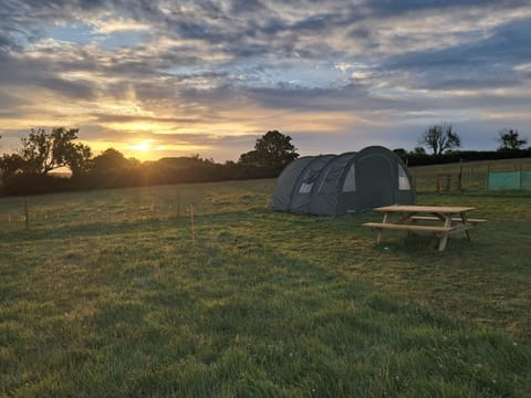 Maisie's Campsite Campground/ 
RV Resort in England