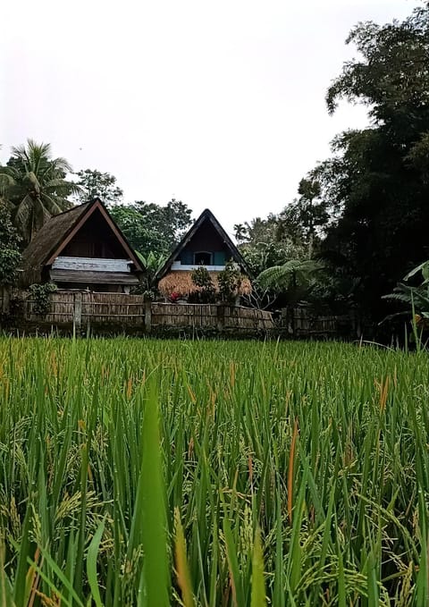 Day