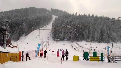 Ski School, Ski School, Skiing, Skiing, children, children
