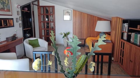 Appartamento Napodano Apartment in Praia A Mare