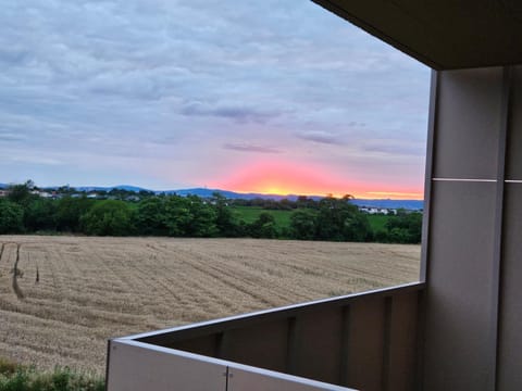Natural landscape, Sunset