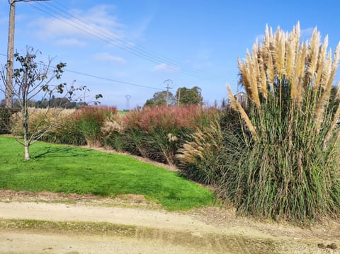Gîte Ti-Maes Bed and Breakfast in Quimper