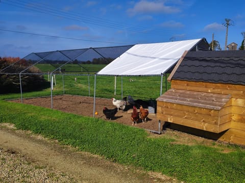 Gîte Ti-Maes Bed and Breakfast in Quimper