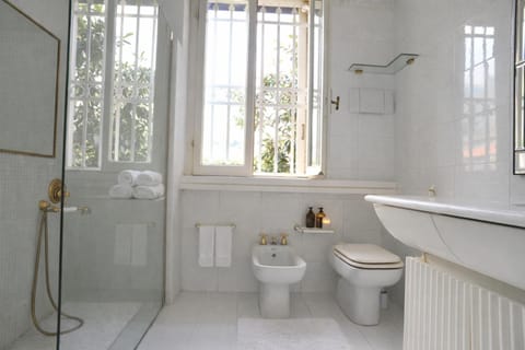 Shower, Toilet, Bathroom, bidet