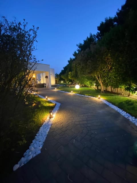 Night, Natural landscape, Garden