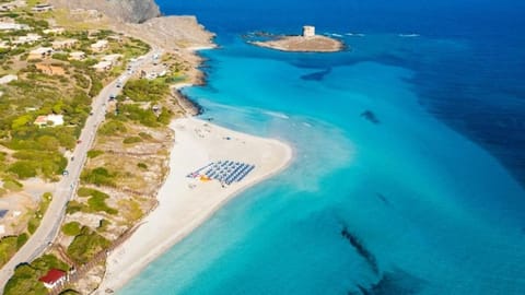 Cala Sabina 1 - Short Term Rentals Italy Apartment in Stintino