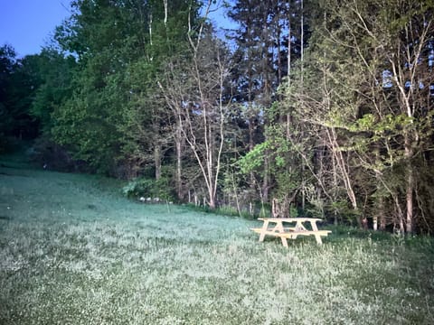 Patio, Balcony/Terrace