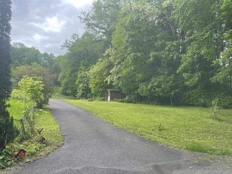 Spring, Natural landscape, Garden view