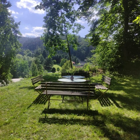 Garden