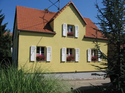 Property building, Garden, Garden view