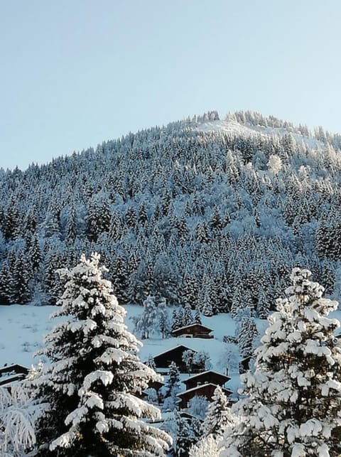 3 apartment at the foot of the slopes Apartment in La Clusaz