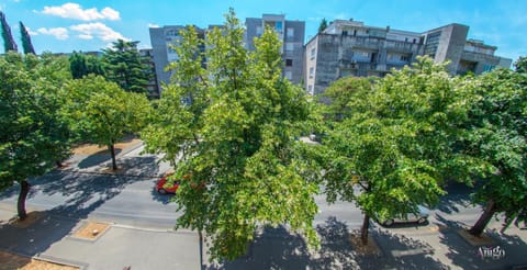 Neighbourhood, Street view, Location