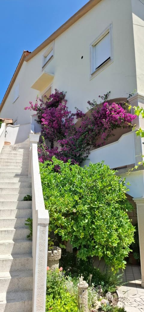 Property building, Facade/entrance, Garden