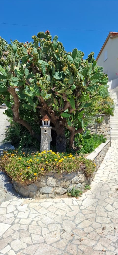 Facade/entrance, Garden