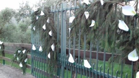 B&B Curtif Bed and Breakfast in Province of Brescia