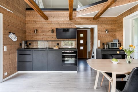 Himos Stonelake - two saunas and a hot tub Villa in Finland