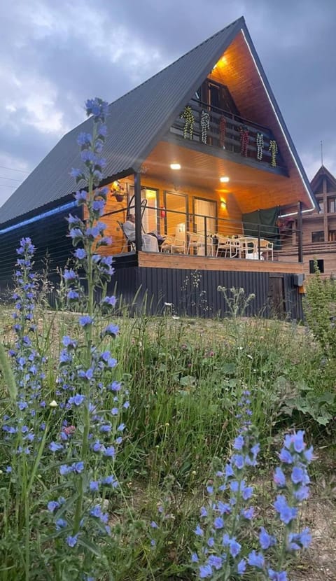Property building, Spring, Day, Garden, Garden view