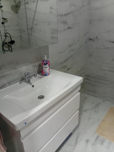 Comfort Center Apartment in Serbia