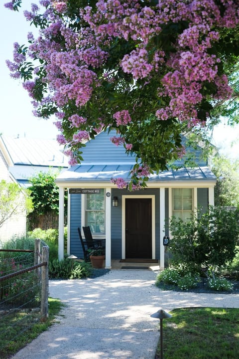 Property building, Garden view