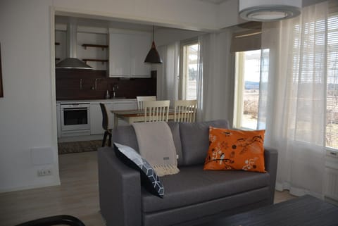 Kitchen or kitchenette, Living room, Seating area, Dining area