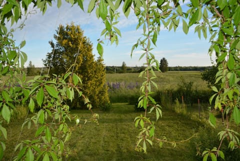 Day, Natural landscape, Garden, Garden view