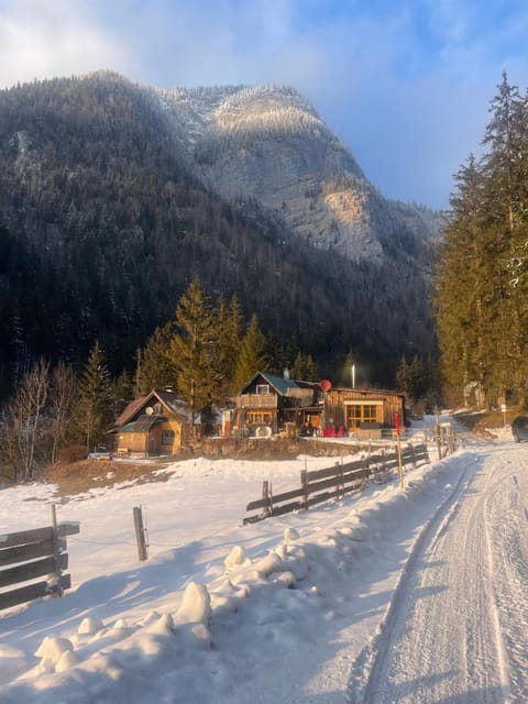 Idyllisches Chalet Hallstattnähe Chalet in Hallstatt