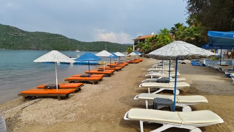 Beach, Sea view, sunbed