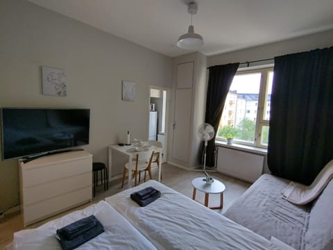 Bed, TV and multimedia, Photo of the whole room, Decorative detail, Decorative detail, Seating area, Dining area, Bedroom, flat iron, hair dryier, towels, wardrobe