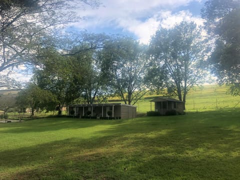 Natural landscape, Garden, Garden view