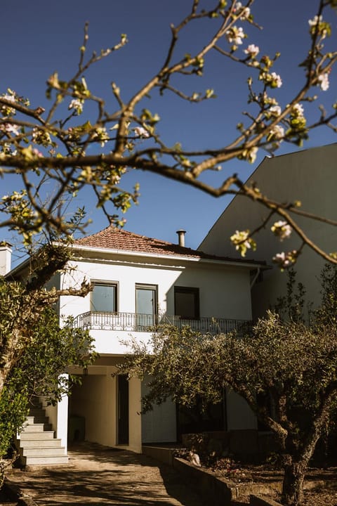 Property building, Garden, Garden view