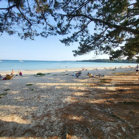 "L'émeraude" belle environnement avec piscine et plage de Cap-Coz! Apartment in Fouesnant