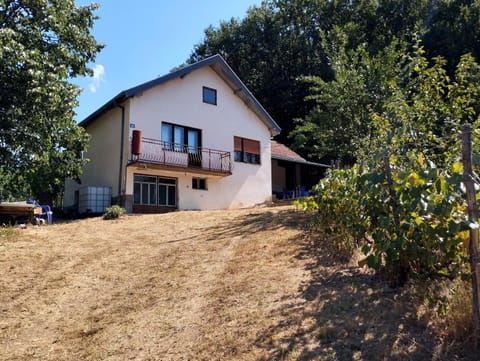 Property building, Garden, Garden view