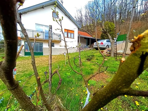 View (from property/room), Garden view, Parking